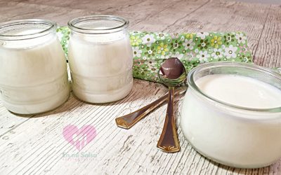 YOGUR CASERO SIN YOGURTERA