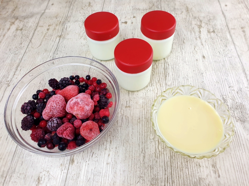 ingredientes de los polos de helado de yogur y frutos rojos